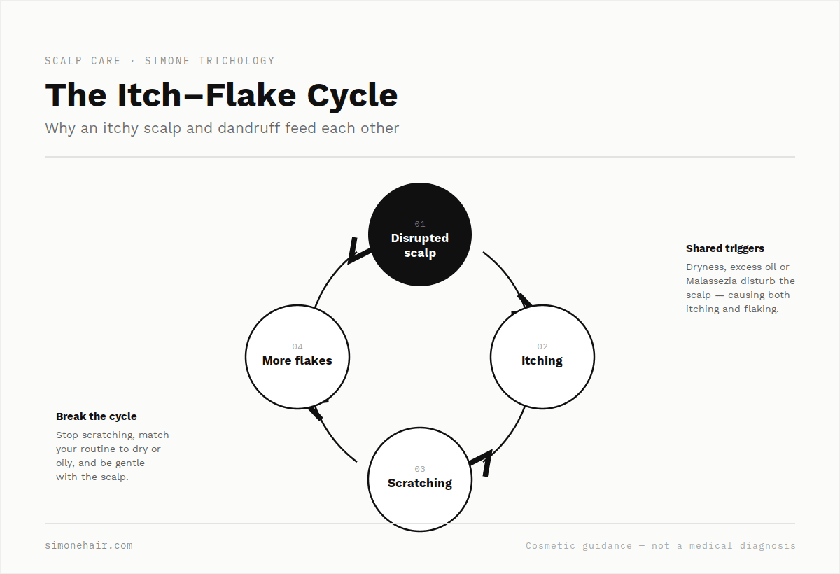 The itch-flake cycle — how an itchy scalp and dandruff feed each other — SIMONE TRICHOLOGY