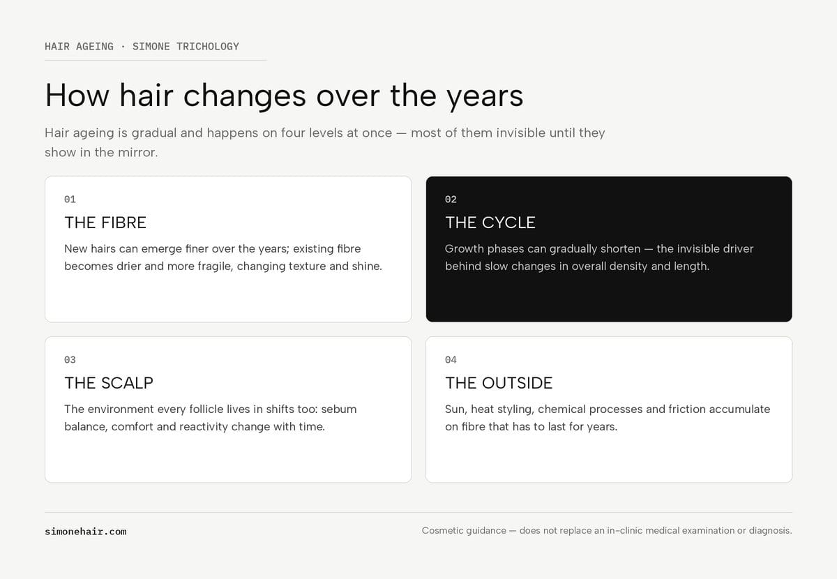 How hair changes over the years: fibre, growth cycle, scalp and external factors — SIMONE TRICHOLOGY infographic