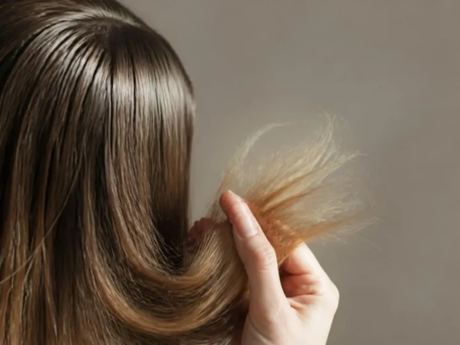 Greasy roots and dry ends: oily roots at the parting and frizzy split ends on the same hair