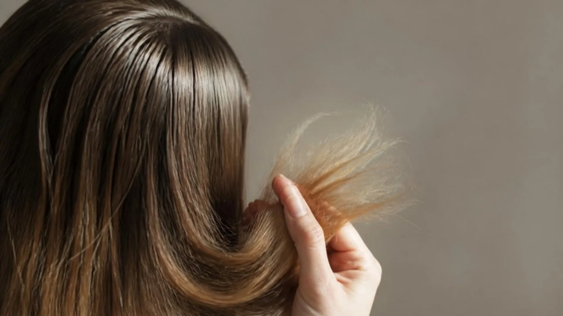 Greasy roots and dry ends: oily roots at the parting and frizzy split ends on the same hair
