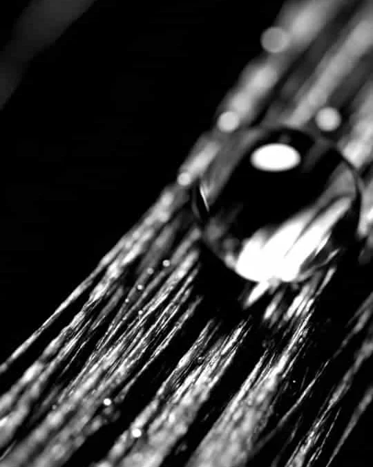 Serum droplet absorbing into a hair fibre under macro magnification — SIMONE TRICHOLOGY